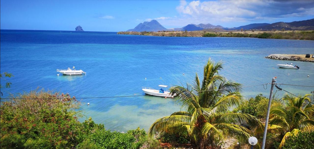 T2 Les Pieds Dans L'Eau Face A La Mer Des Caraibes Sainte Luce - Trois Rivieres 外观 照片