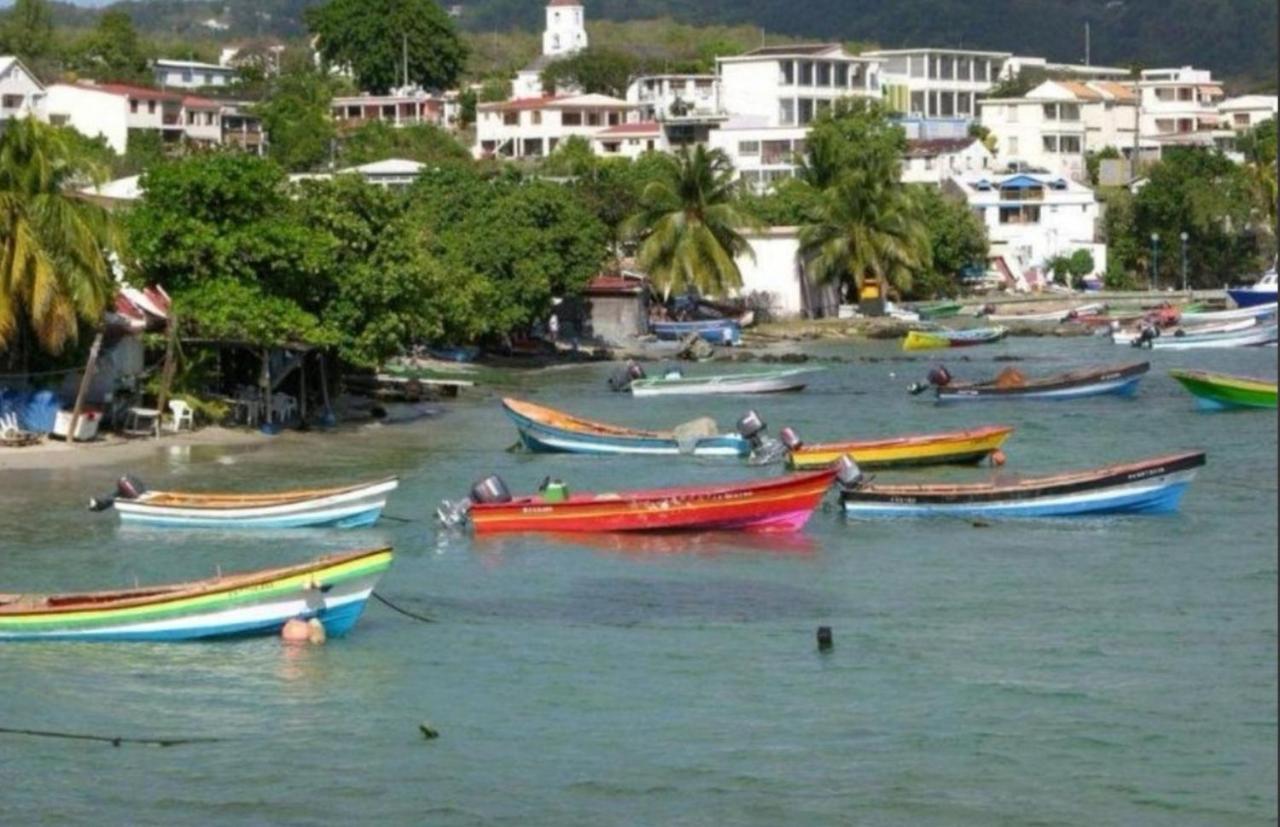 T2 Les Pieds Dans L'Eau Face A La Mer Des Caraibes Sainte Luce - Trois Rivieres 外观 照片