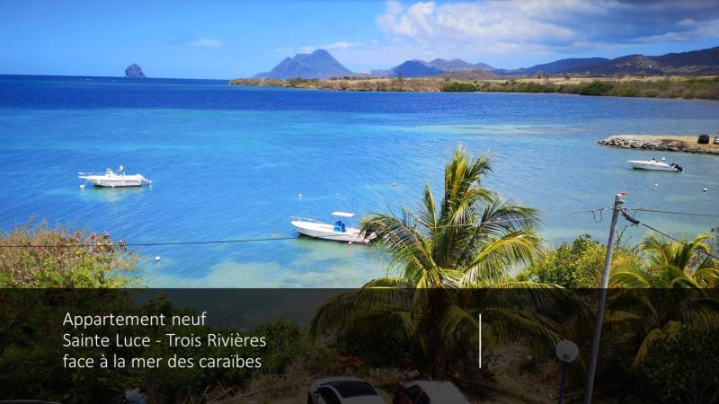 T2 Les Pieds Dans L'Eau Face A La Mer Des Caraibes Sainte Luce - Trois Rivieres 外观 照片